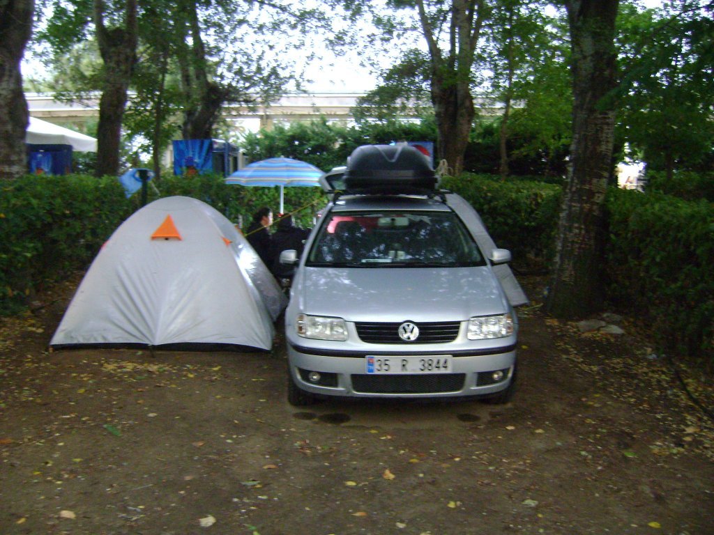 DSC08206.JPG