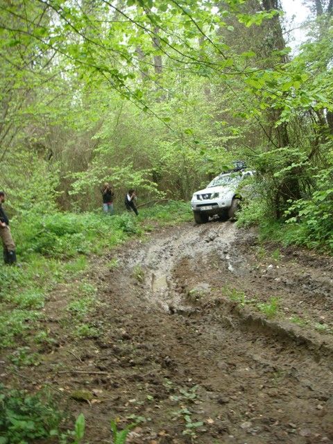 DSC08215.jpg