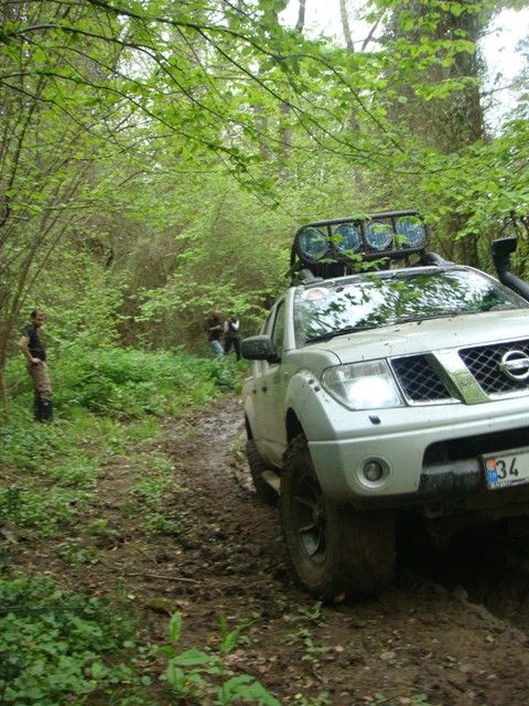 DSC08224.jpg