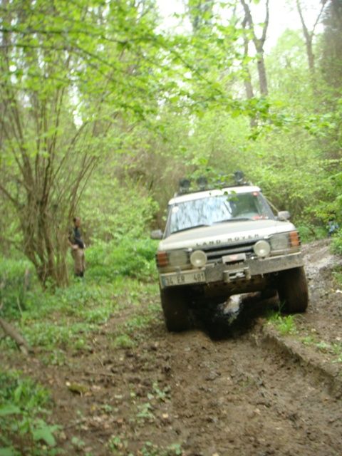 DSC08233.jpg