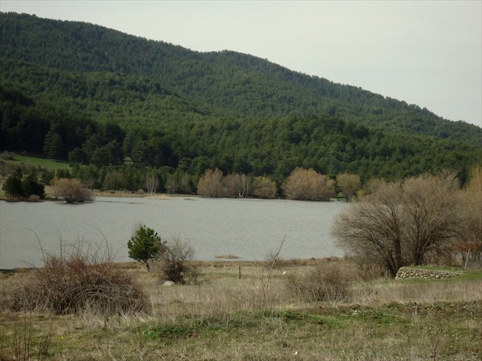 DSC08264.JPG