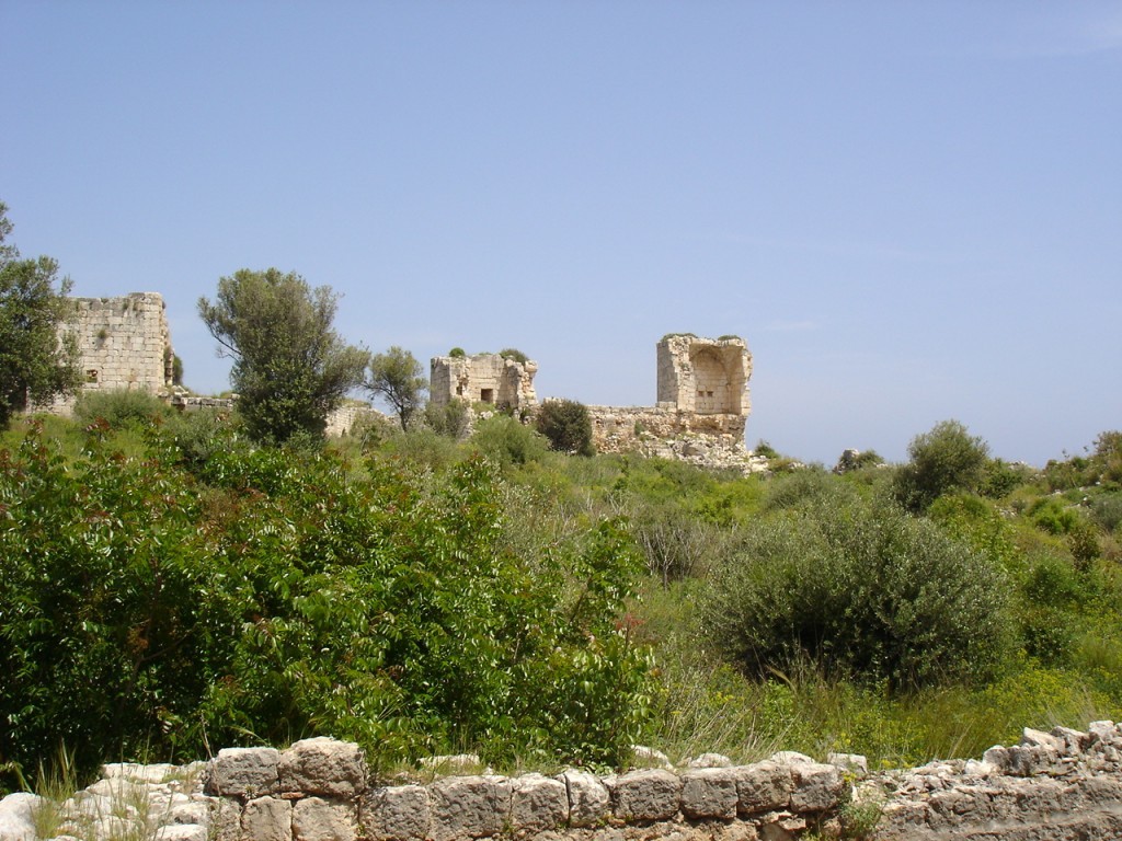 DSC08278.JPG
