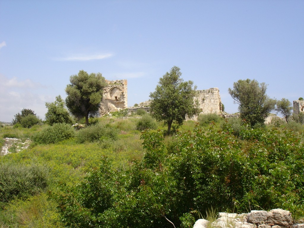 DSC08279.JPG