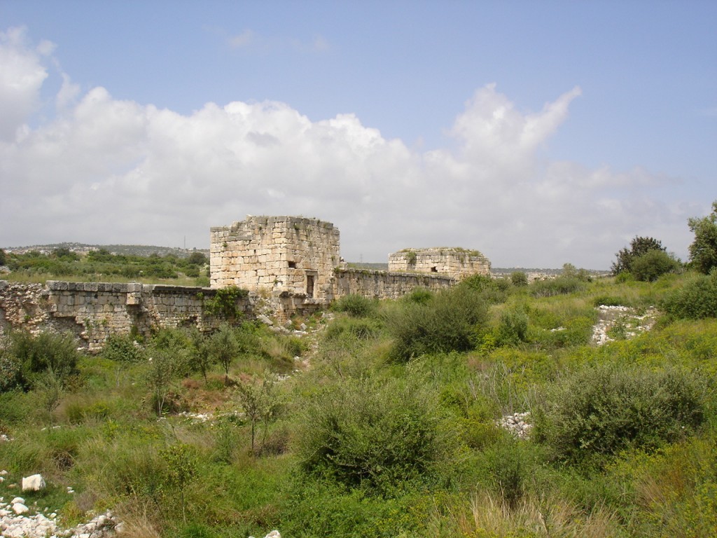 DSC08280.JPG