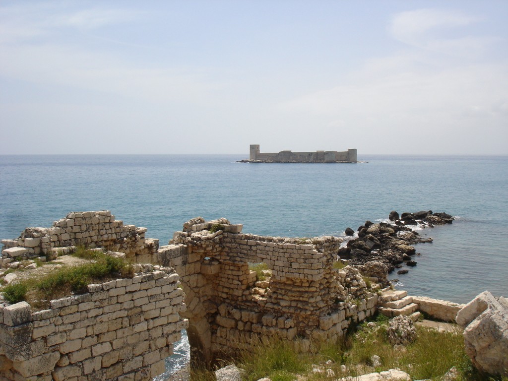 DSC08284.JPG