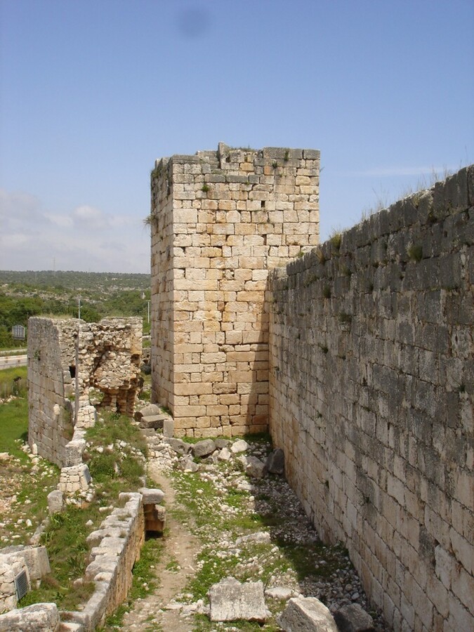 DSC08287.JPG