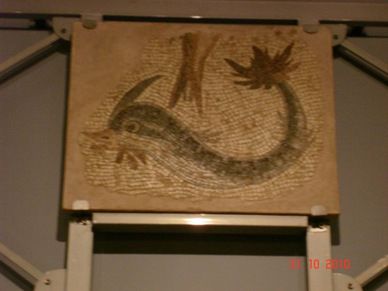 DSC08294 [Desktop Resolution].jpg