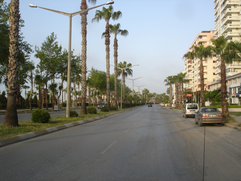 DSC08295.JPG