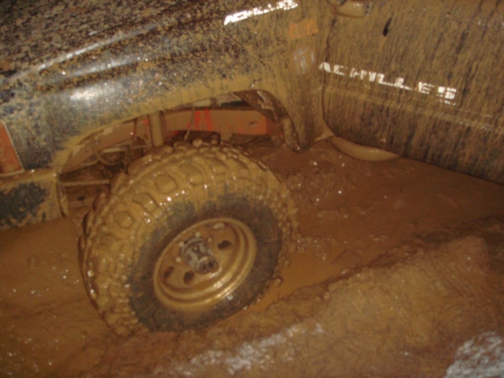 DSC08296.jpg