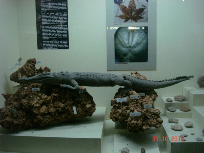 DSC08299 [Desktop Resolution].jpg