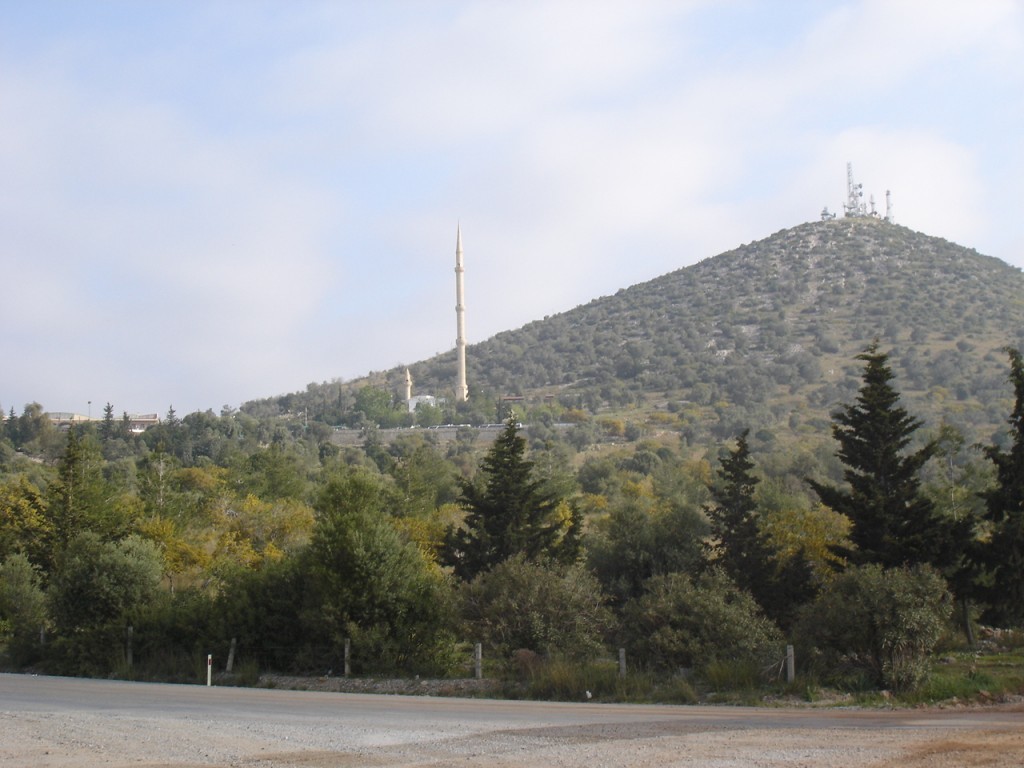 DSC08302.JPG