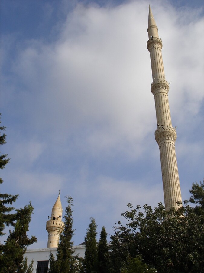 DSC08303.JPG