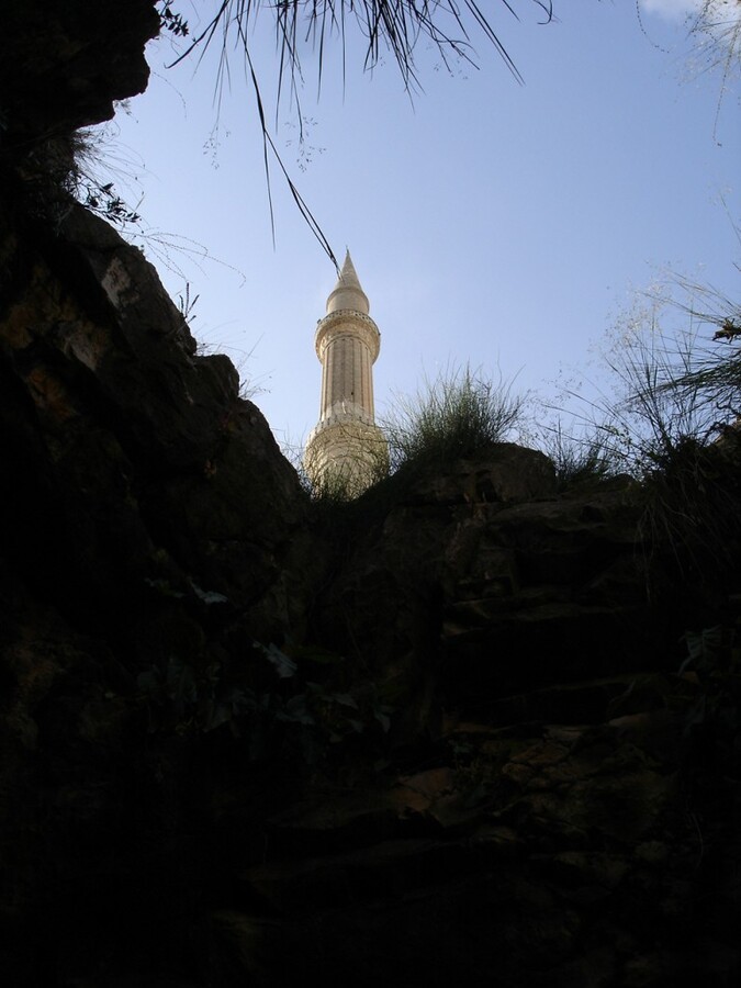 DSC08312.JPG