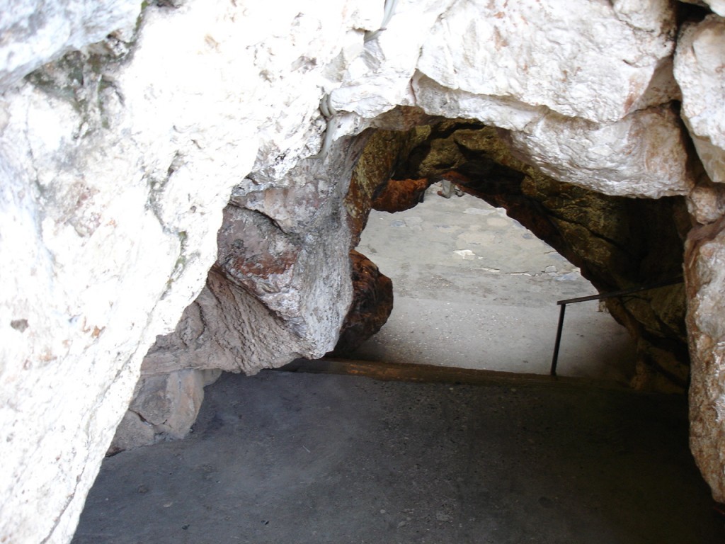 DSC08313.JPG