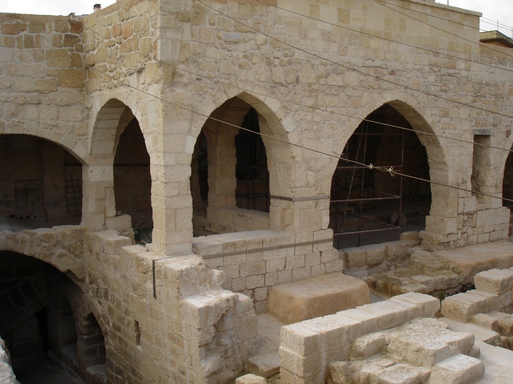 DSC08354.JPG