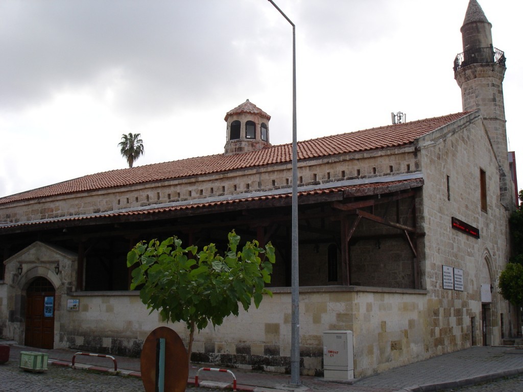 DSC08364.JPG