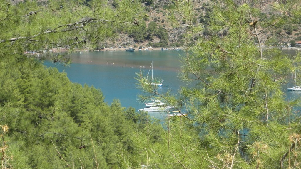 DSC08384.JPG