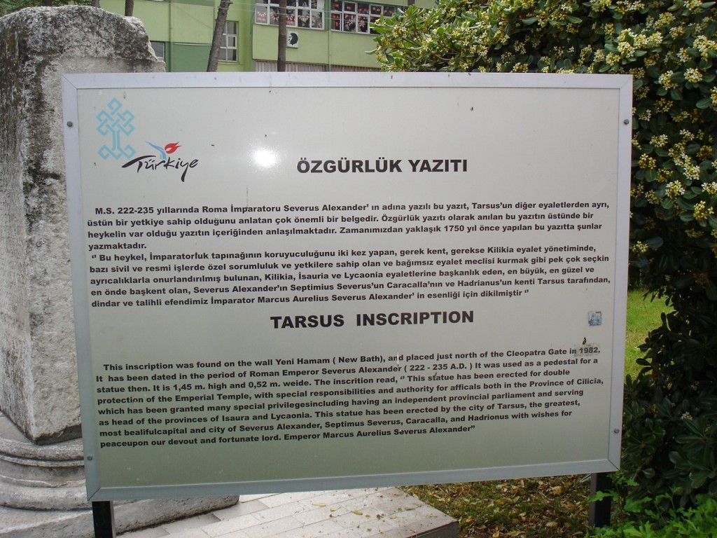 DSC08384.JPG