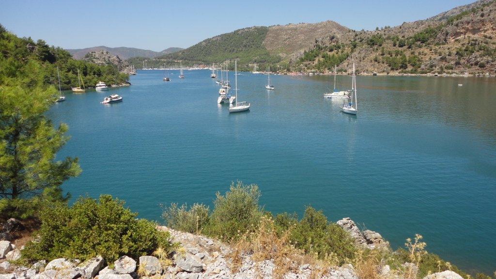 DSC08386.JPG