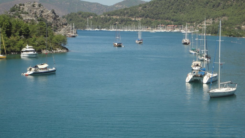 DSC08388.JPG