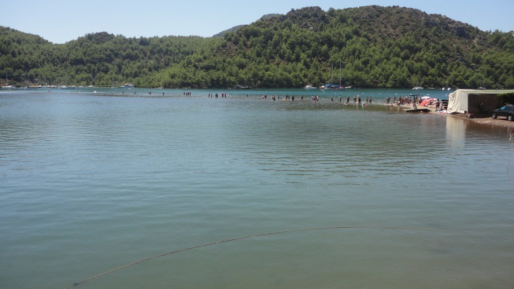 DSC08392.JPG