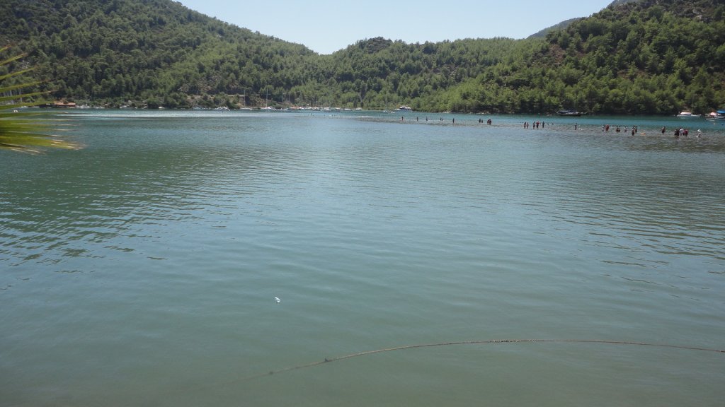 DSC08393.JPG