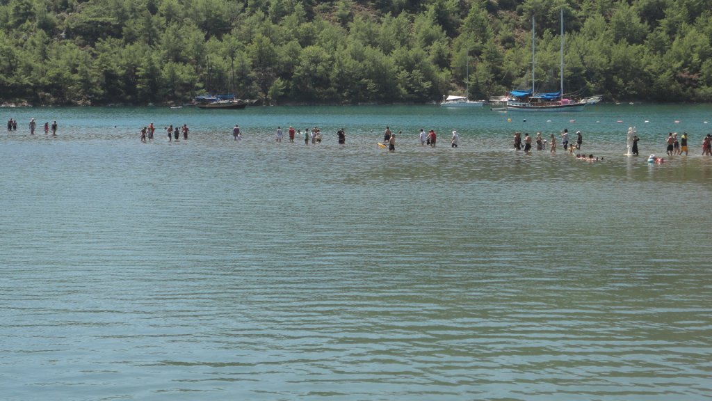 DSC08394.JPG