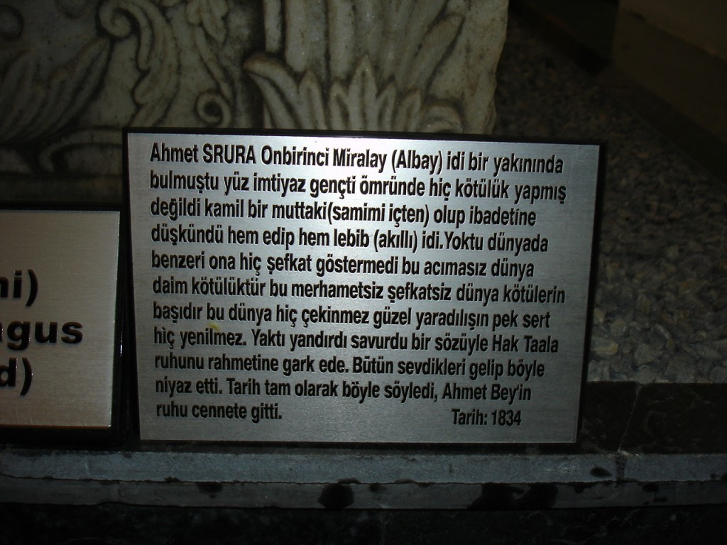 DSC08398.JPG