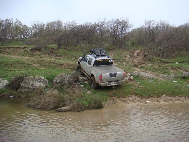 DSC08411.jpg