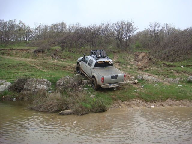 DSC08413.jpg