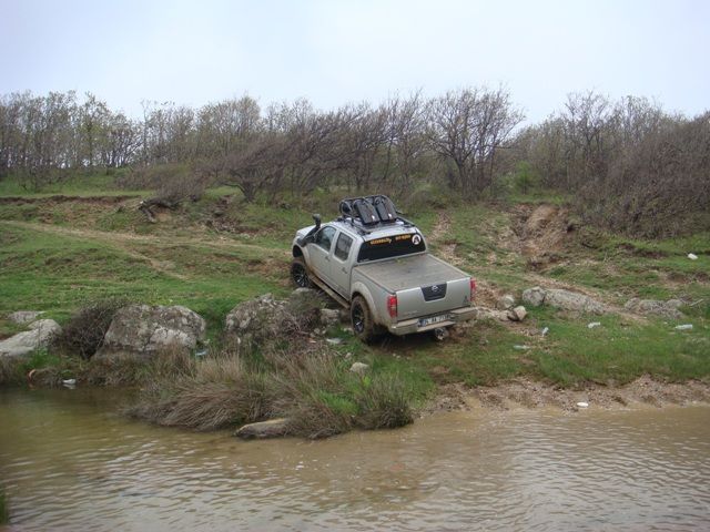 DSC08414.jpg