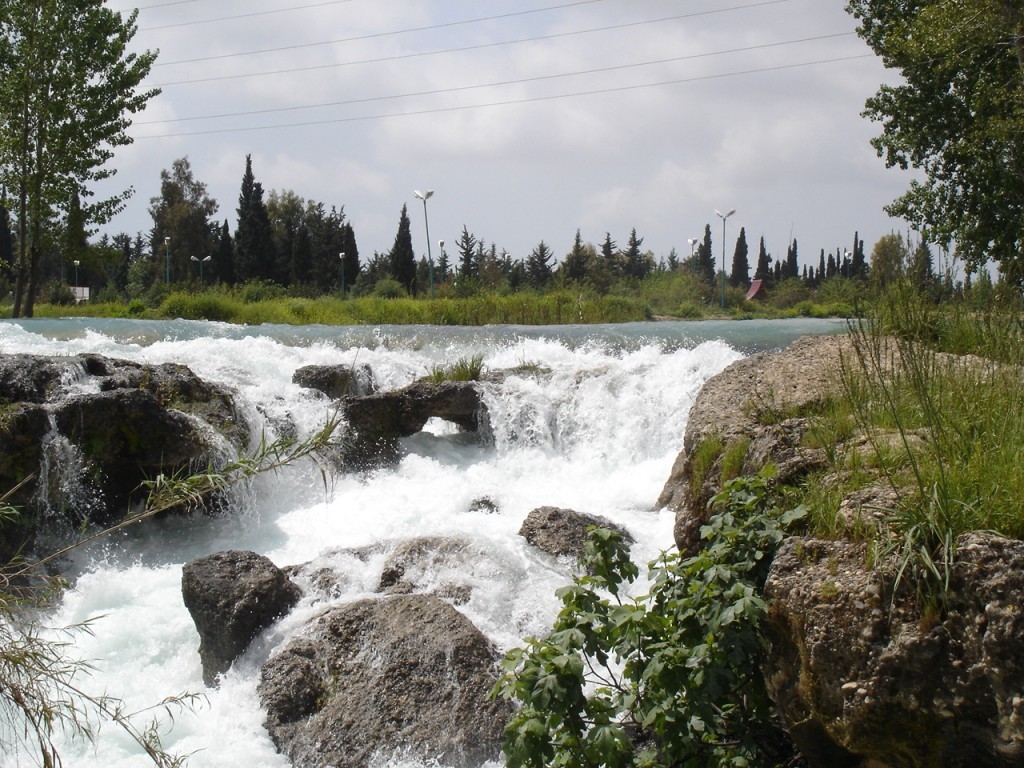 DSC08414.JPG