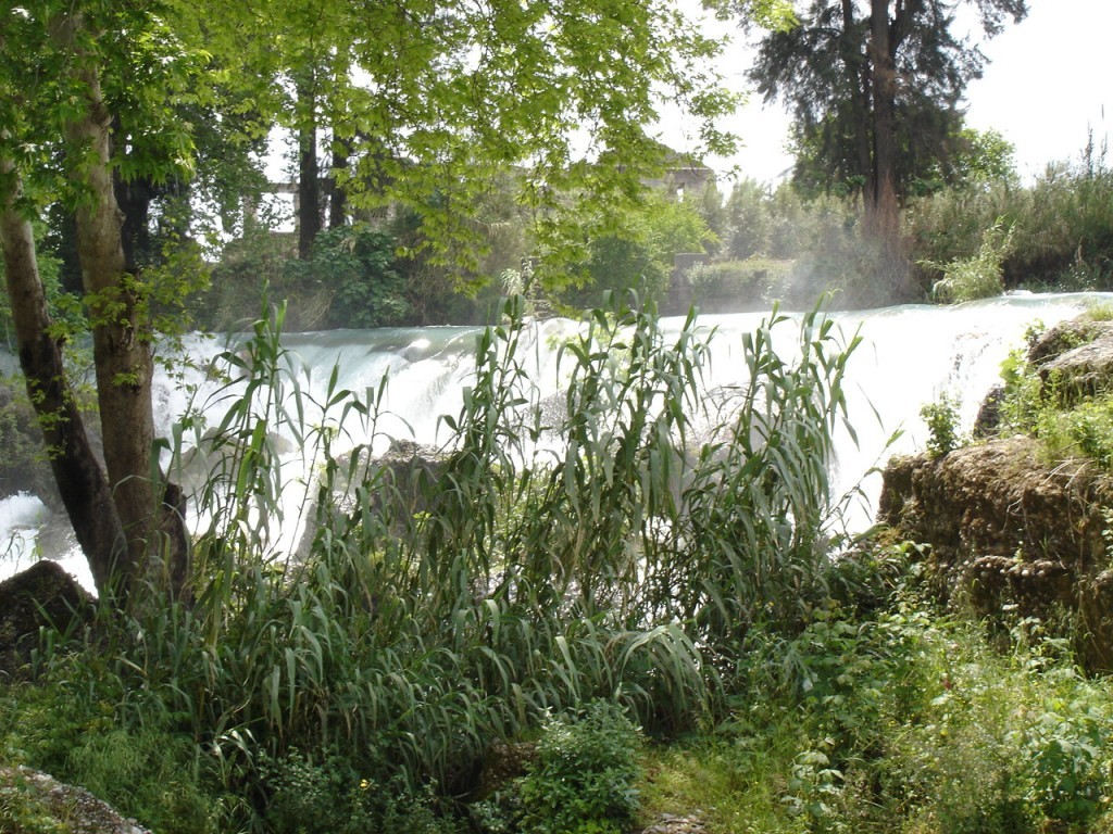 DSC08415.JPG