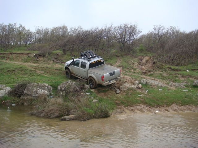 DSC08418.jpg