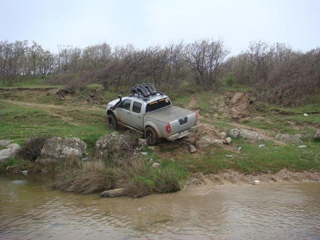 DSC08419.jpg