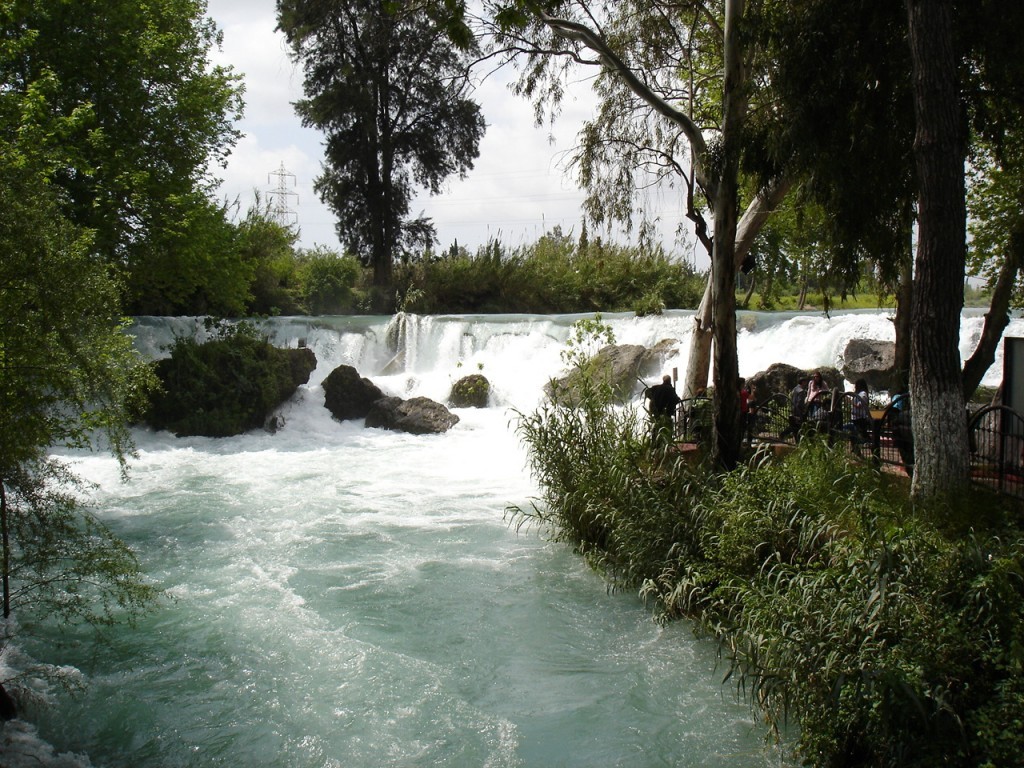 DSC08422.JPG