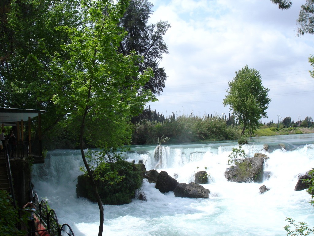 DSC08424.JPG