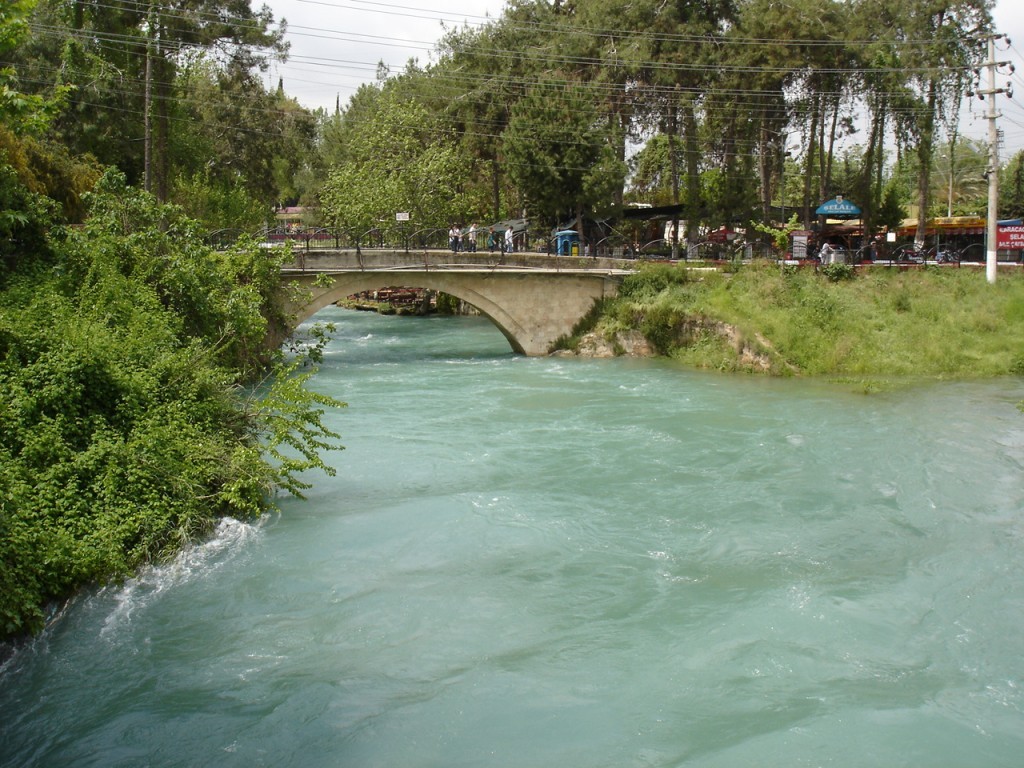 DSC08425.JPG