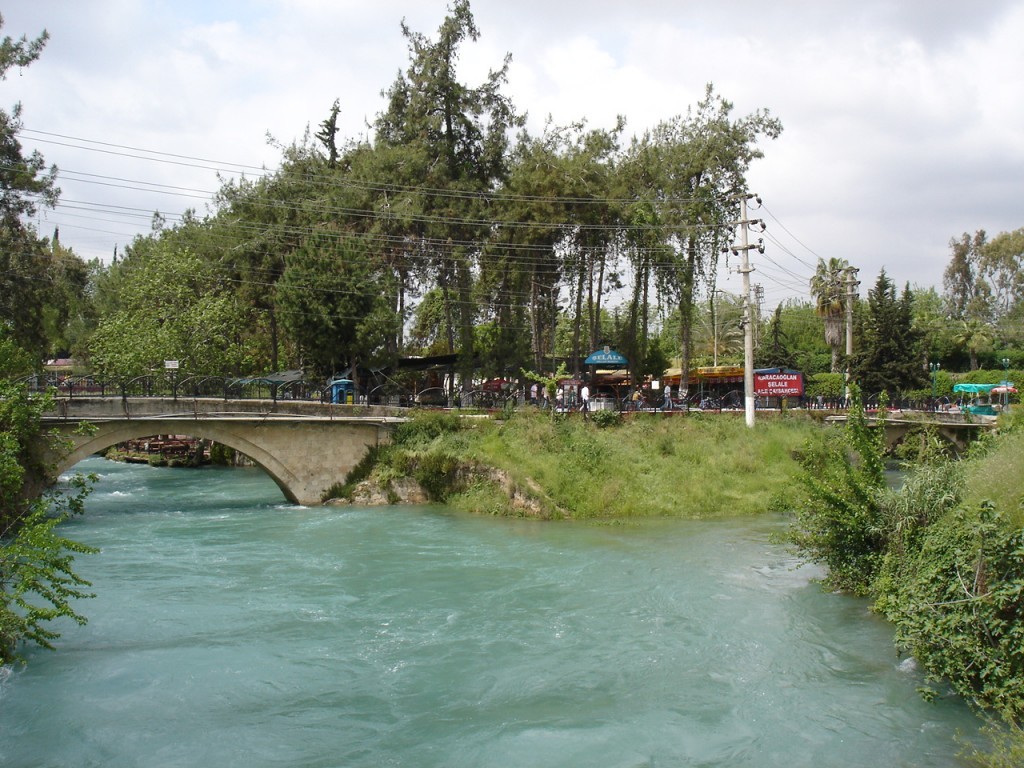 DSC08426.JPG