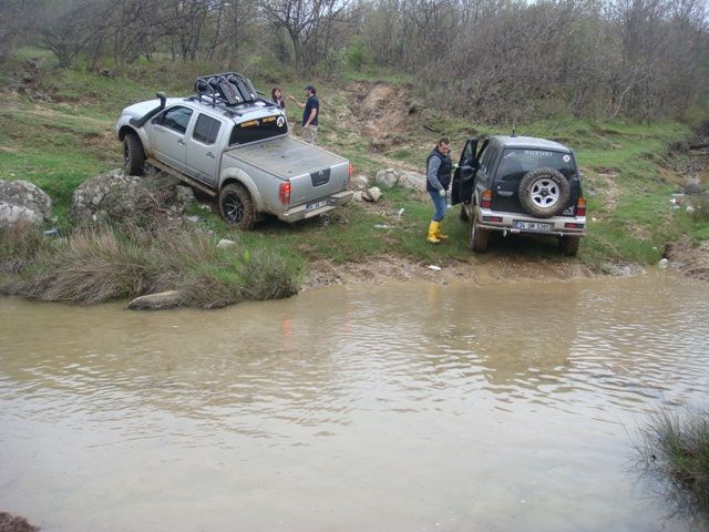 DSC08429.jpg