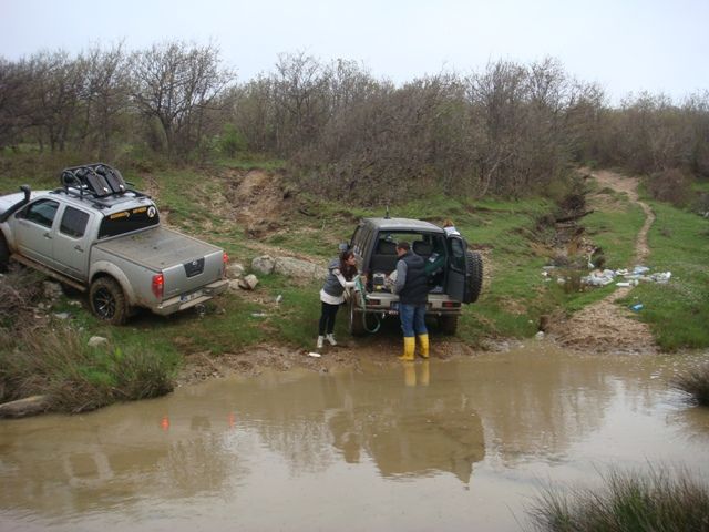 DSC08430.jpg