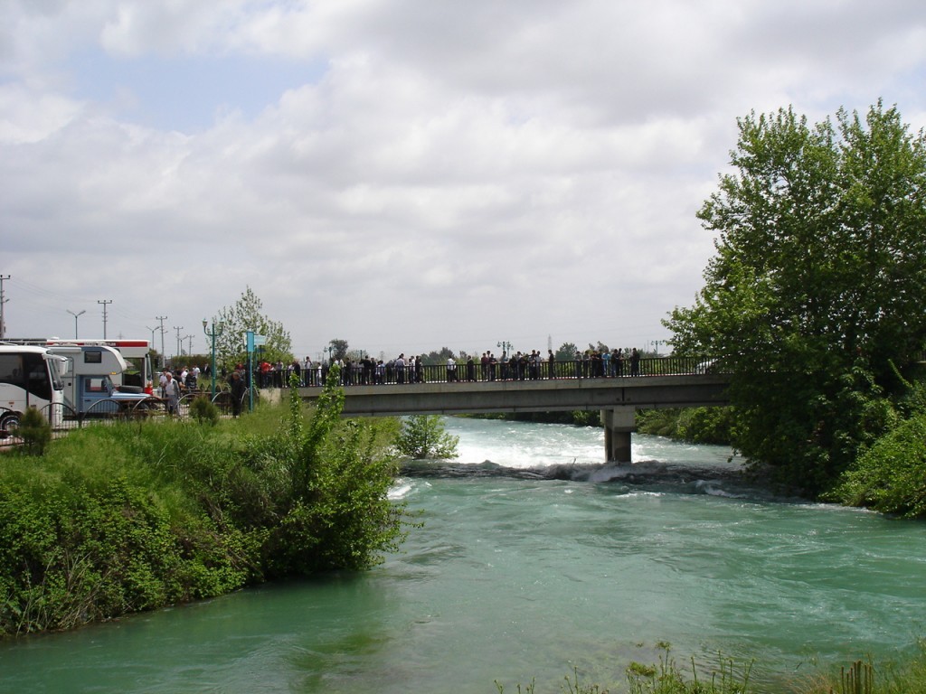 DSC08430.JPG