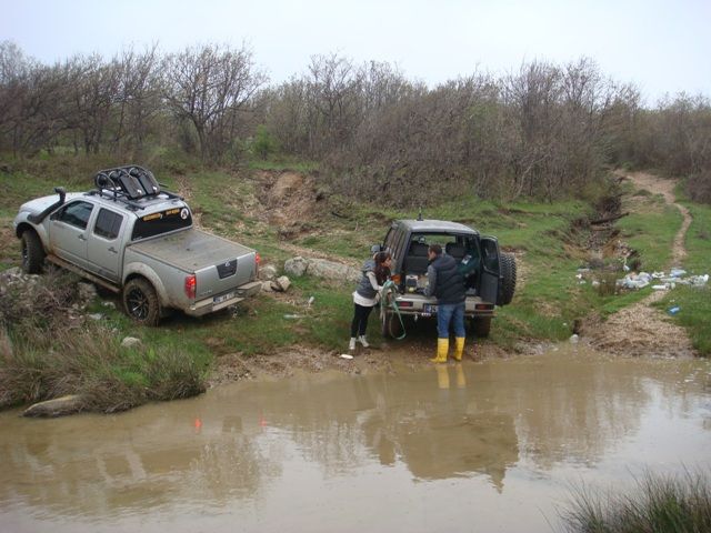 DSC08431.jpg