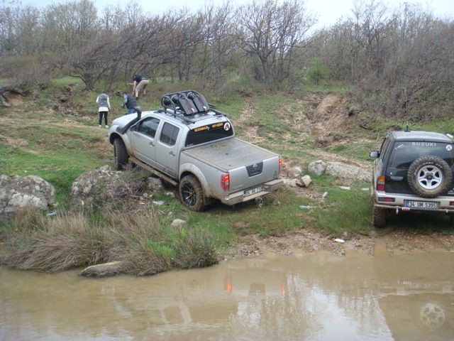 DSC08434.jpg
