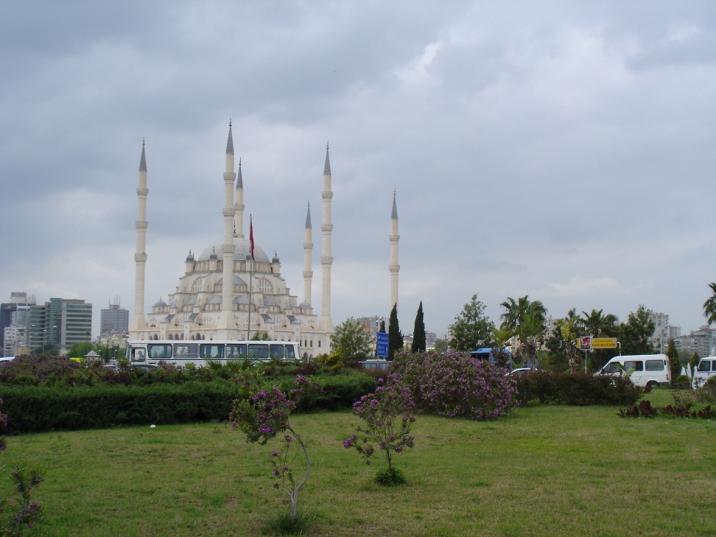 DSC08452.JPG