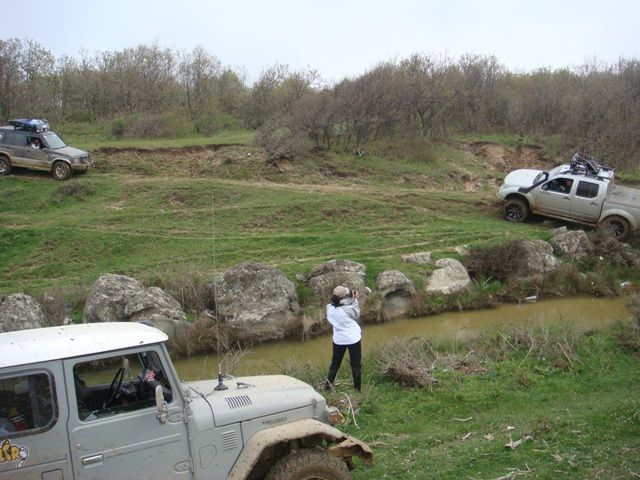 DSC08453.jpg