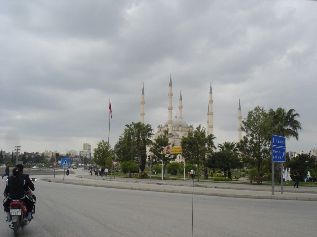 DSC08453.JPG