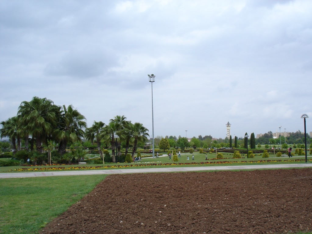 DSC08479.JPG