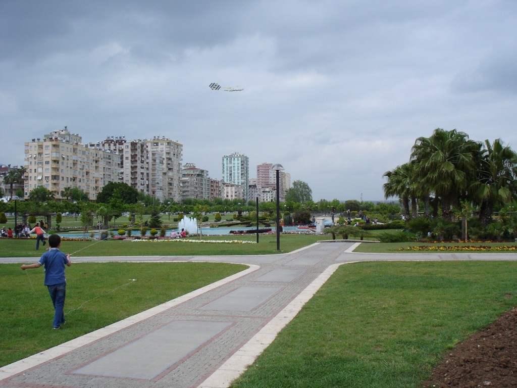 DSC08480.JPG