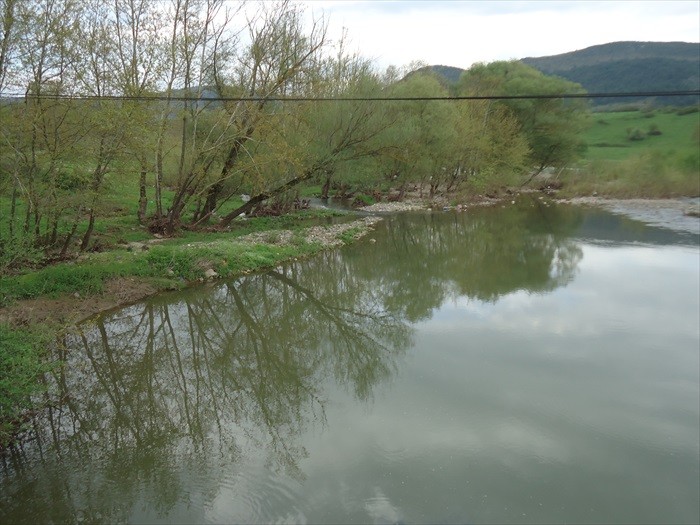 DSC08484.JPG